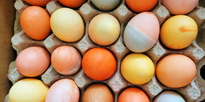 A tray of colorful Easter eggs.