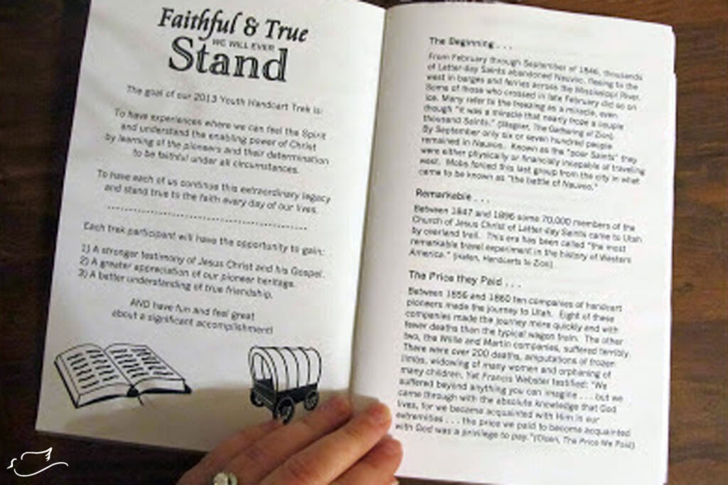 ideas for Pioneer Trek journals - Little Dove Blog