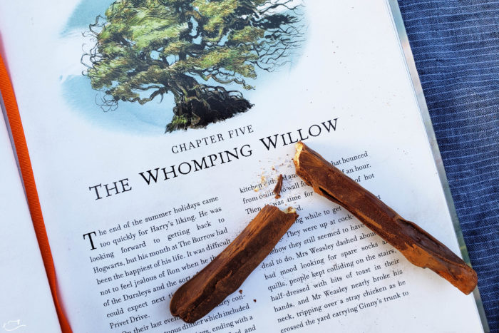 Edible Harry Potter wands. The Whomping Willow.