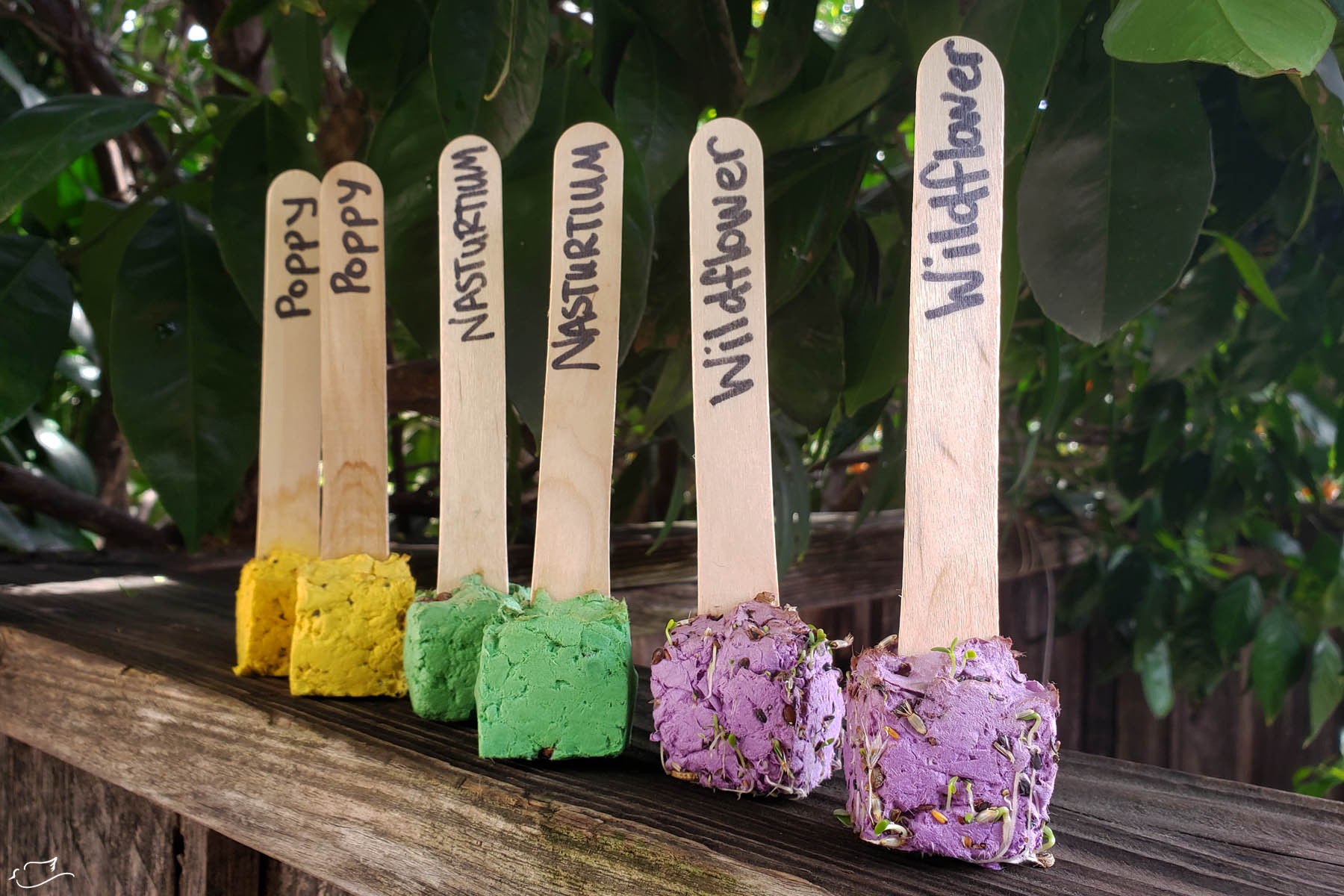 diy seed bomb pops for earth day - Little Dove Blog