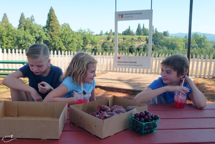 We love the cherry harvest at Boa Vista Orchards in the summer.