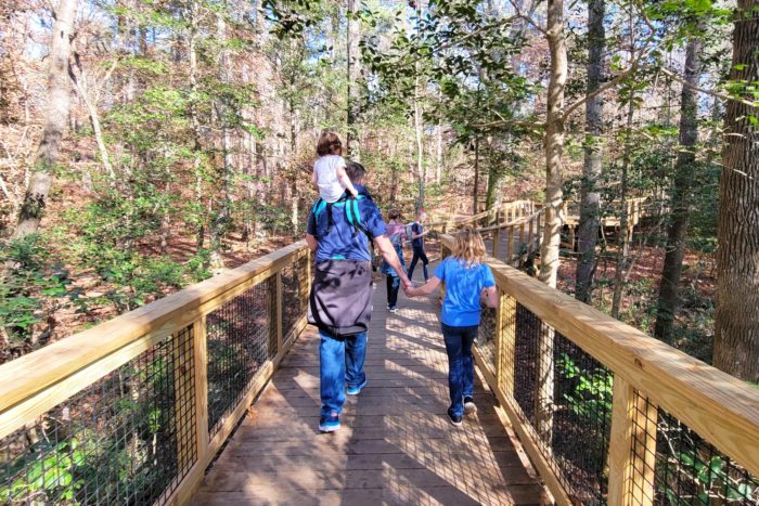 Hiking through Congaree National Park with your family.