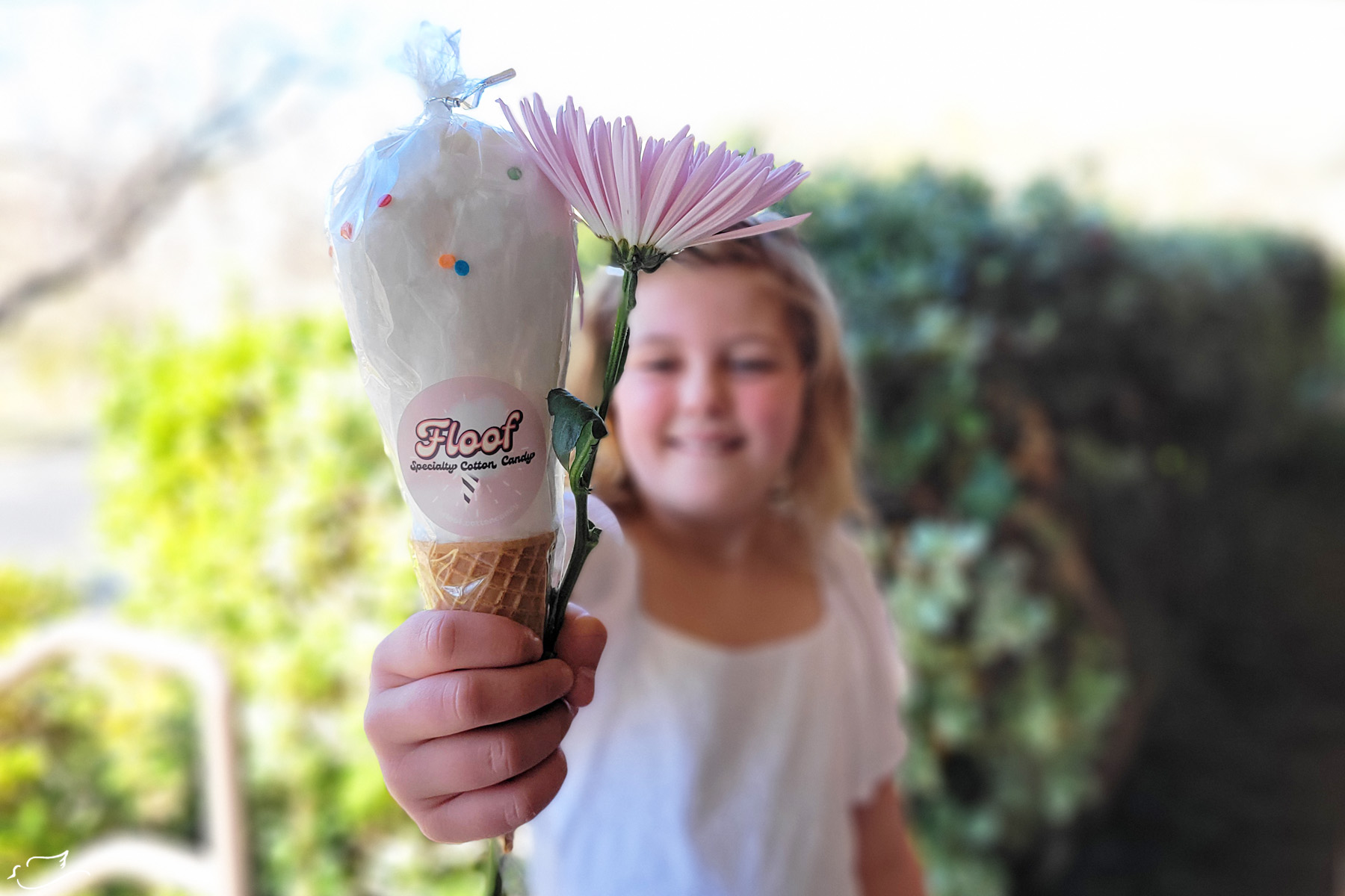 cotton candy baptism talk and object lesson - Little Dove Blog
