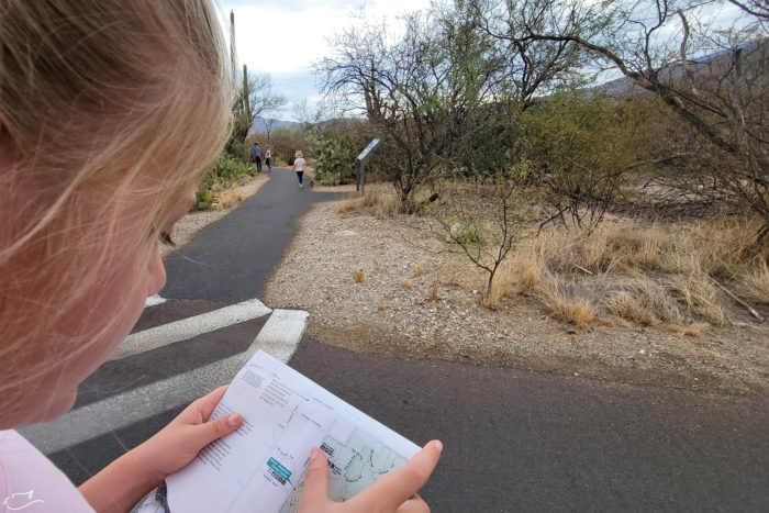 Take school on the road at our national parks.