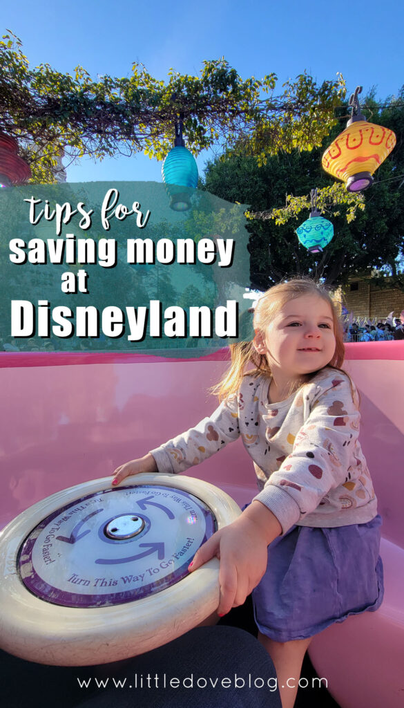 7 Best Ways To Save Money On Your Disney Vacation Little Dove Blog