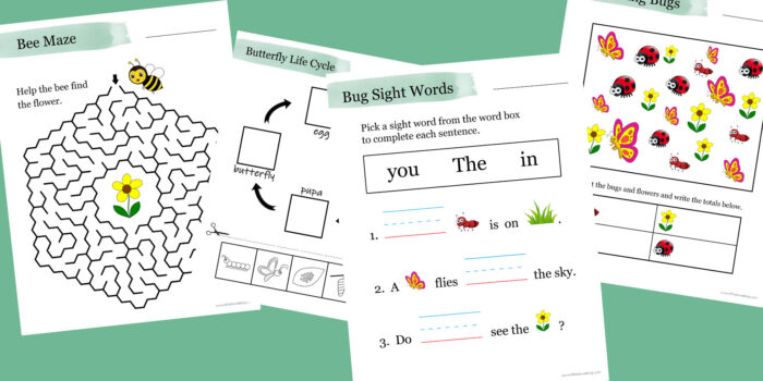 Free bug worksheets for preschool and kindergarten.