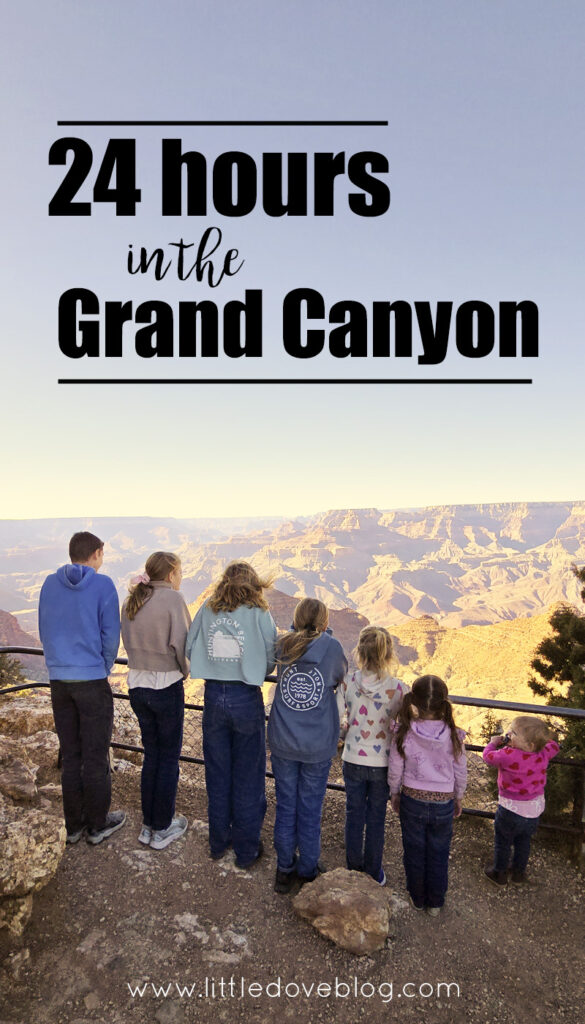 24 hours in Grand Canyon National Park with kids - Little Dove Blog