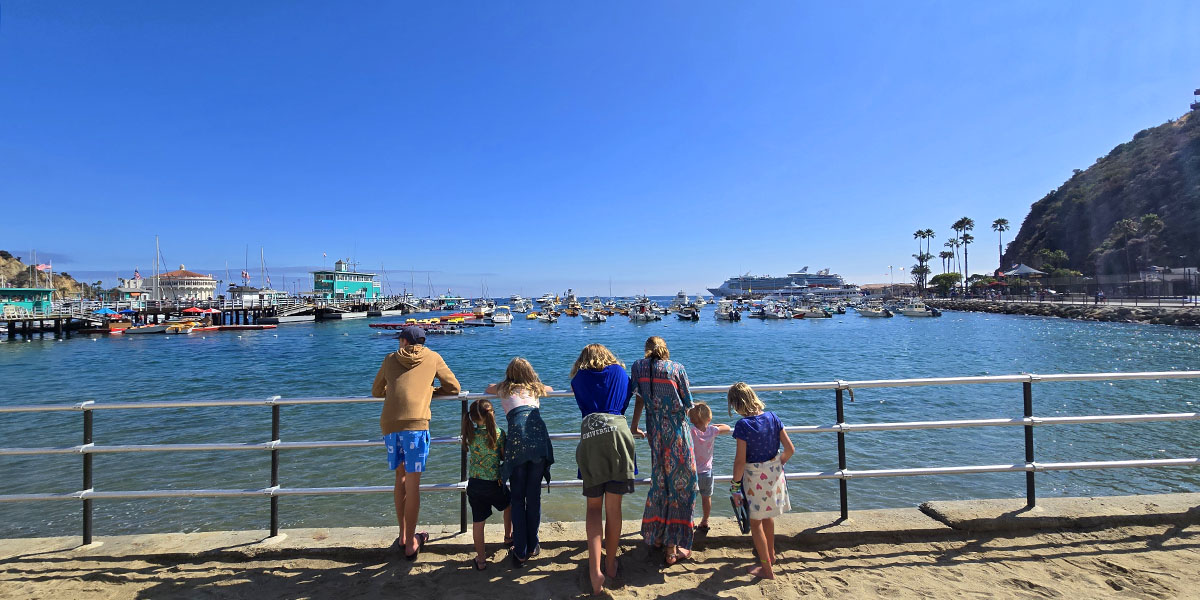 visiting Catalina Island with kids - Little Dove Blog